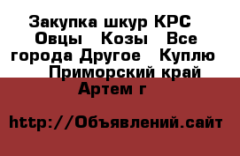 Закупка шкур КРС , Овцы , Козы - Все города Другое » Куплю   . Приморский край,Артем г.